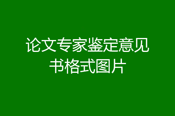 论文专家鉴定意见书格式图片