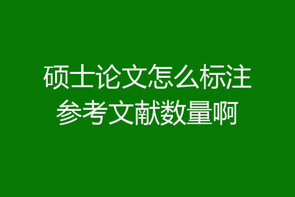 硕士论文怎么标注参考文献数量啊