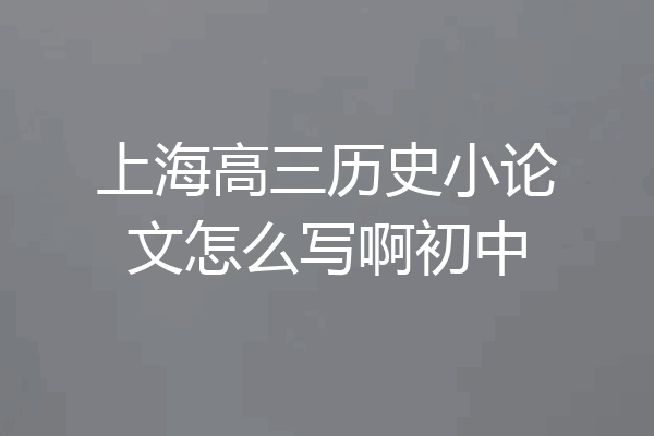 上海高三历史小论文怎么写啊初中