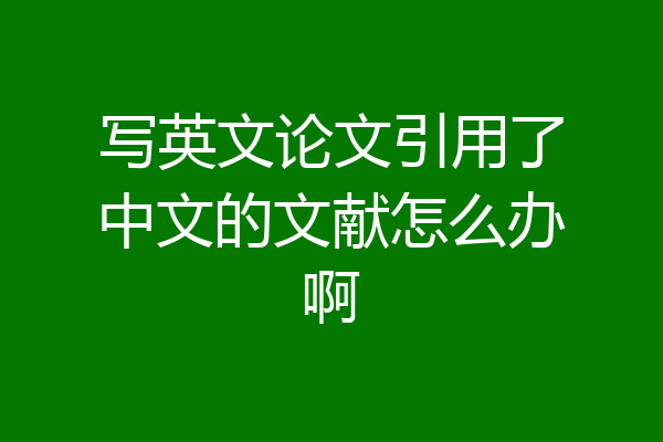 写英文论文引用了中文的文献怎么办啊