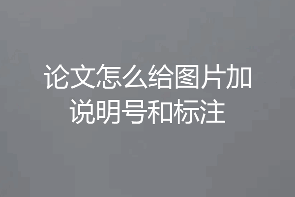 论文怎么给图片加说明号和标注