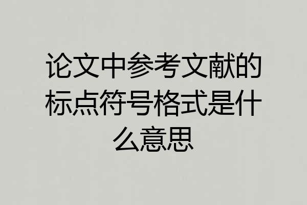 论文中参考文献的标点符号格式是什么意思