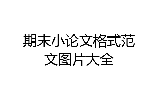 期末小论文格式范文图片大全