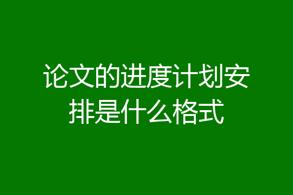论文的进度计划安排是什么格式