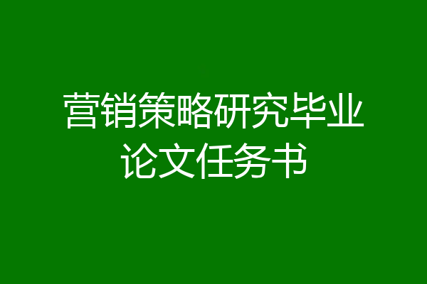 营销策略研究毕业论文任务书