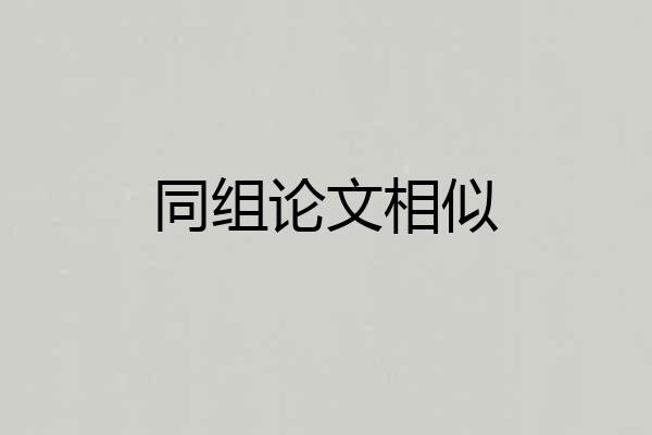 同组论文相似