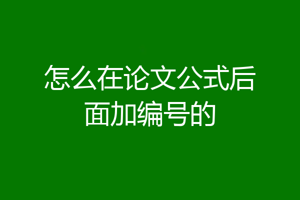 怎么在论文公式后面加编号的