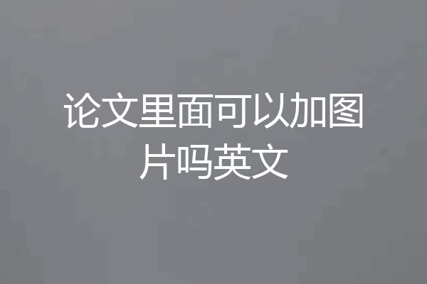 论文里面可以加图片吗英文