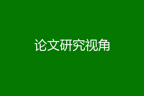 论文研究视角