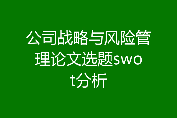 公司战略与风险管理论文选题swot分析