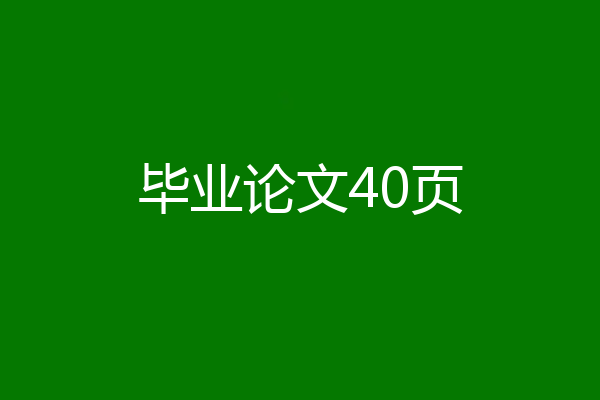毕业论文40页