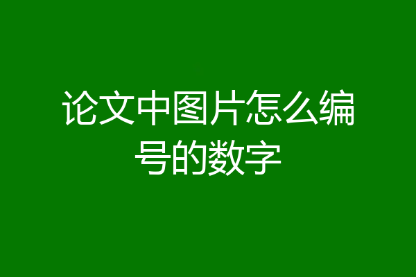 论文中图片怎么编号的数字