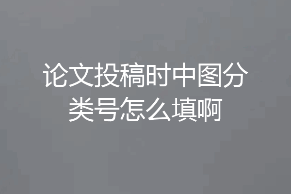 论文投稿时中图分类号怎么填啊