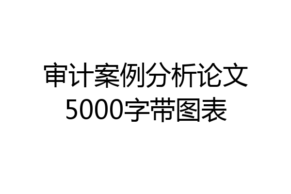 审计案例分析论文5000字带图表