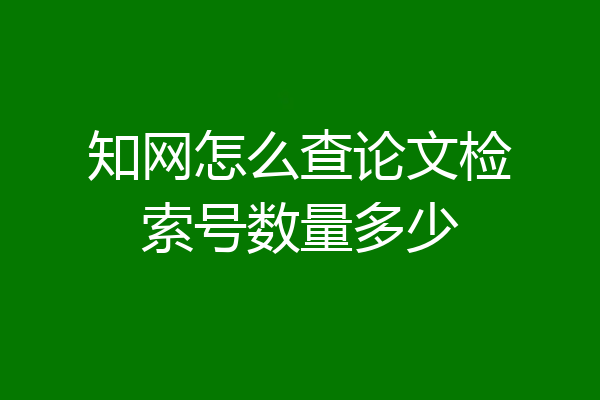 知网怎么查论文检索号数量多少