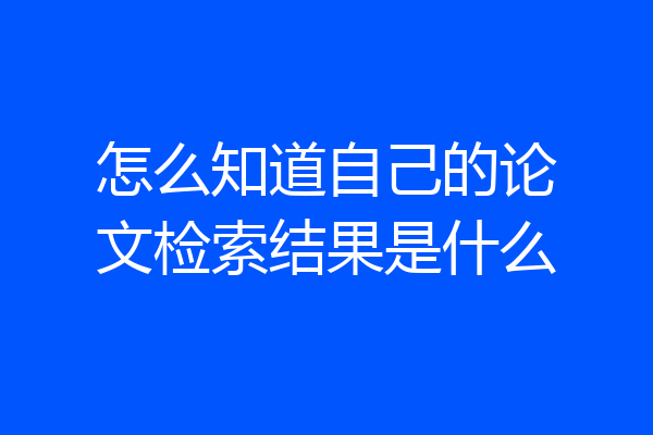 怎么知道自己的论文检索结果是什么