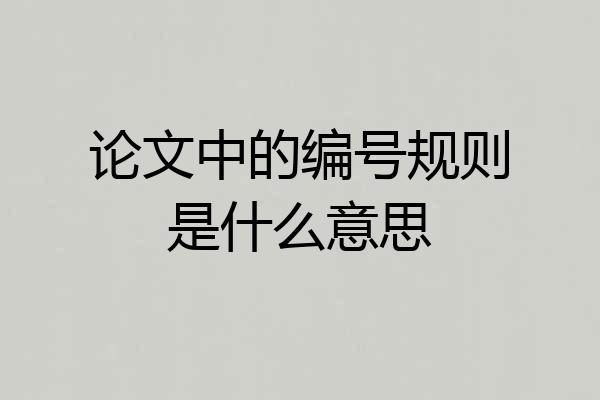 论文中的编号规则是什么意思