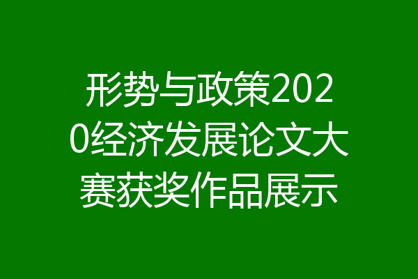 形势与政策2020经济发展论文大赛获奖作品展示