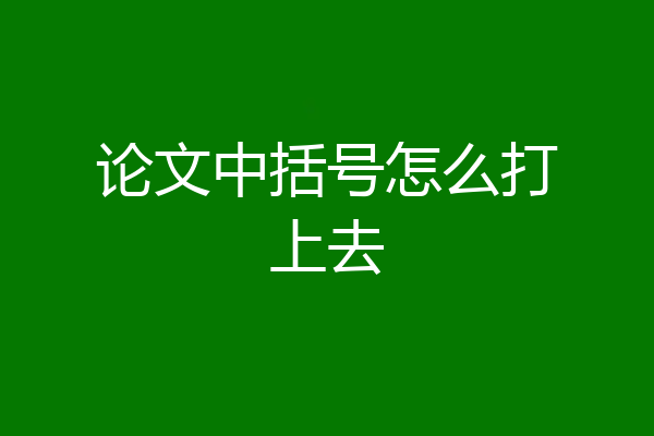 论文中括号怎么打上去