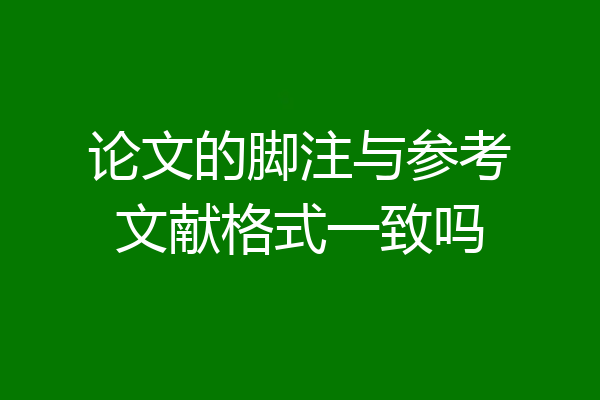 论文的脚注与参考文献格式一致吗