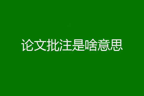 论文批注是啥意思