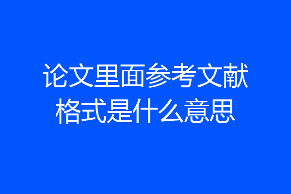 论文里面参考文献格式是什么意思