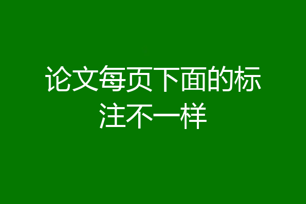 论文每页下面的标注不一样