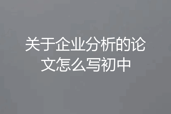 关于企业分析的论文怎么写初中