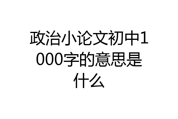 政治小论文初中1000字的意思是什么