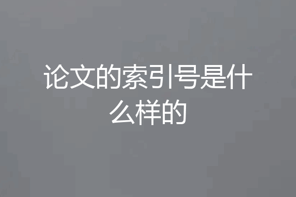 论文的索引号是什么样的