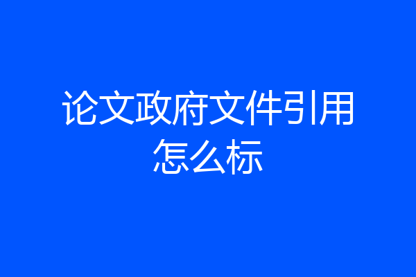 论文政府文件引用怎么标