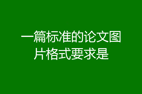 一篇标准的论文图片格式要求是