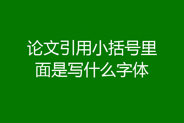 论文引用小括号里面是写什么字体