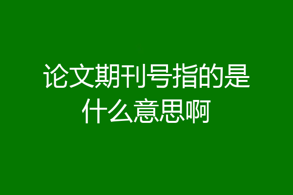 论文期刊号指的是什么意思啊
