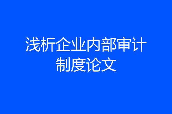 浅析企业内部审计制度论文