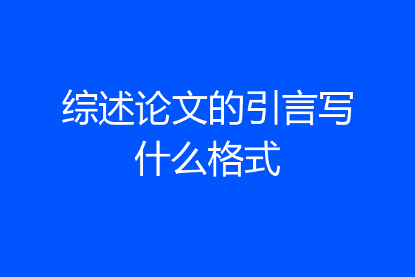 综述论文的引言写什么格式