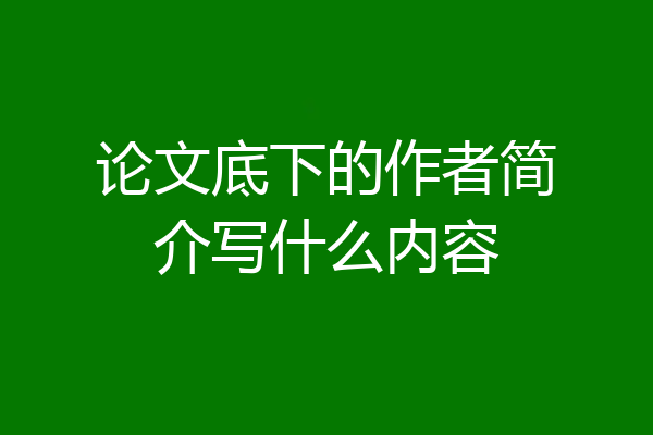 论文底下的作者简介写什么内容