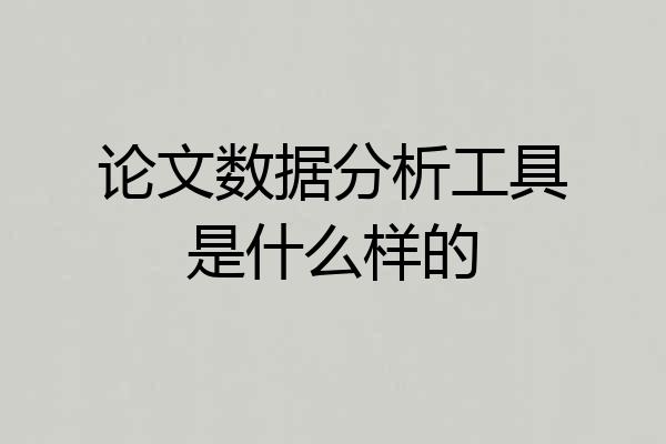 论文数据分析工具是什么样的