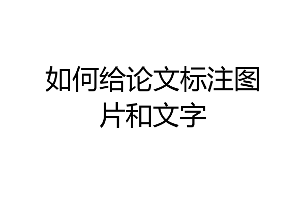 如何给论文标注图片和文字