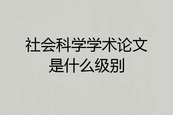 社会科学学术论文是什么级别