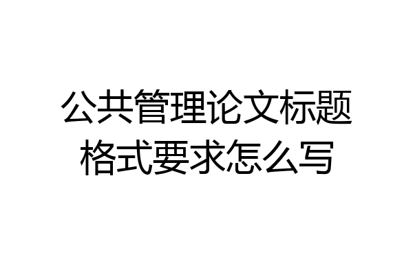 公共管理论文标题格式要求怎么写