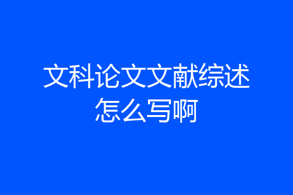 文科论文文献综述怎么写啊