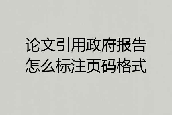 论文引用政府报告怎么标注页码格式
