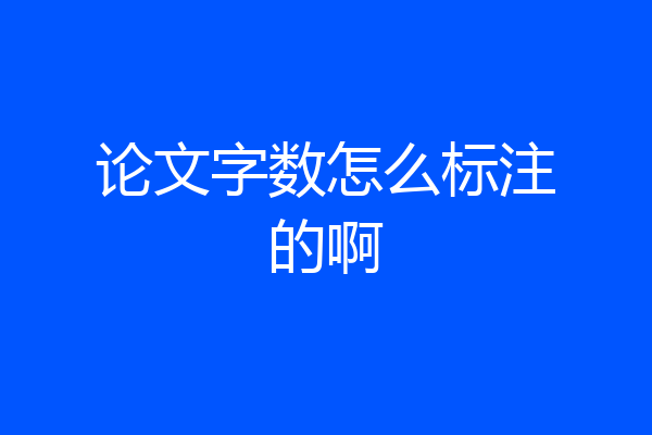 论文字数怎么标注的啊
