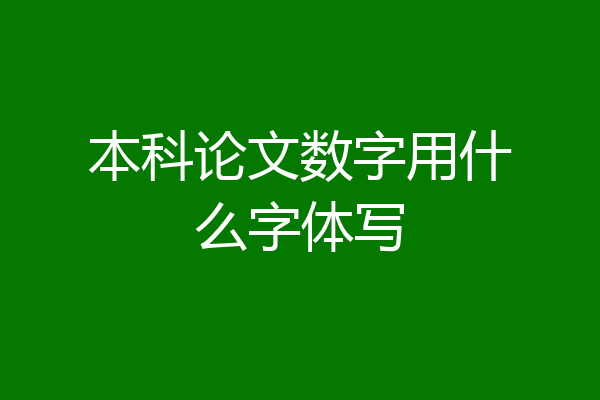 本科论文数字用什么字体写