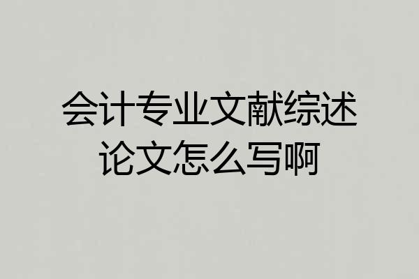 会计专业文献综述论文怎么写啊