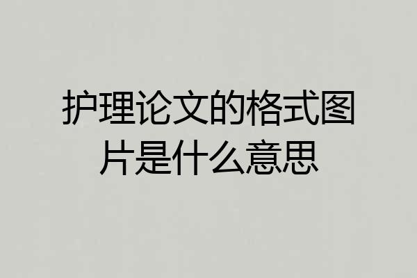 护理论文的格式图片是什么意思