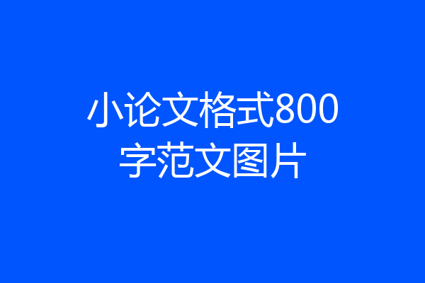 小论文格式800字范文图片