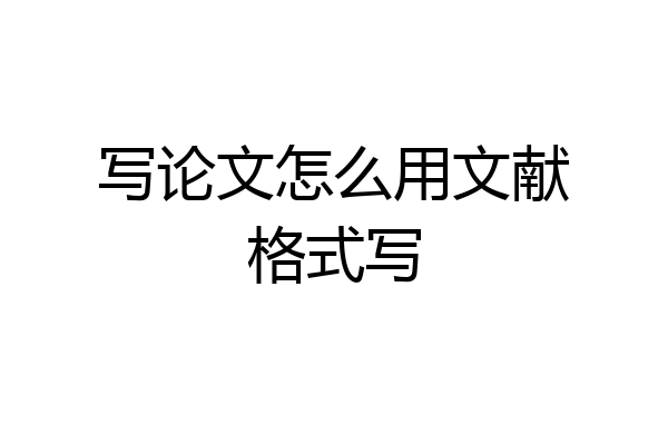 写论文怎么用文献格式写
