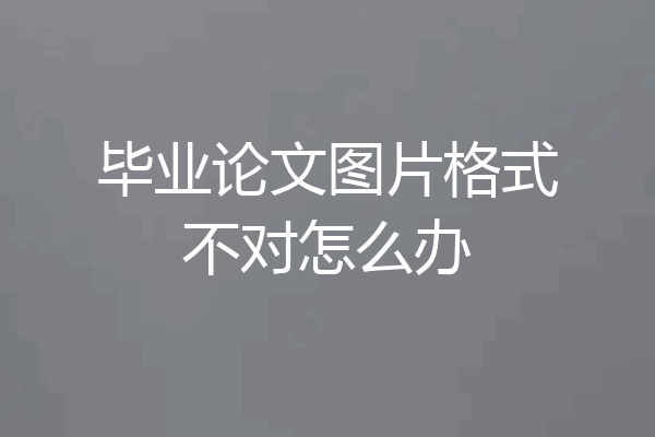 毕业论文图片格式不对怎么办